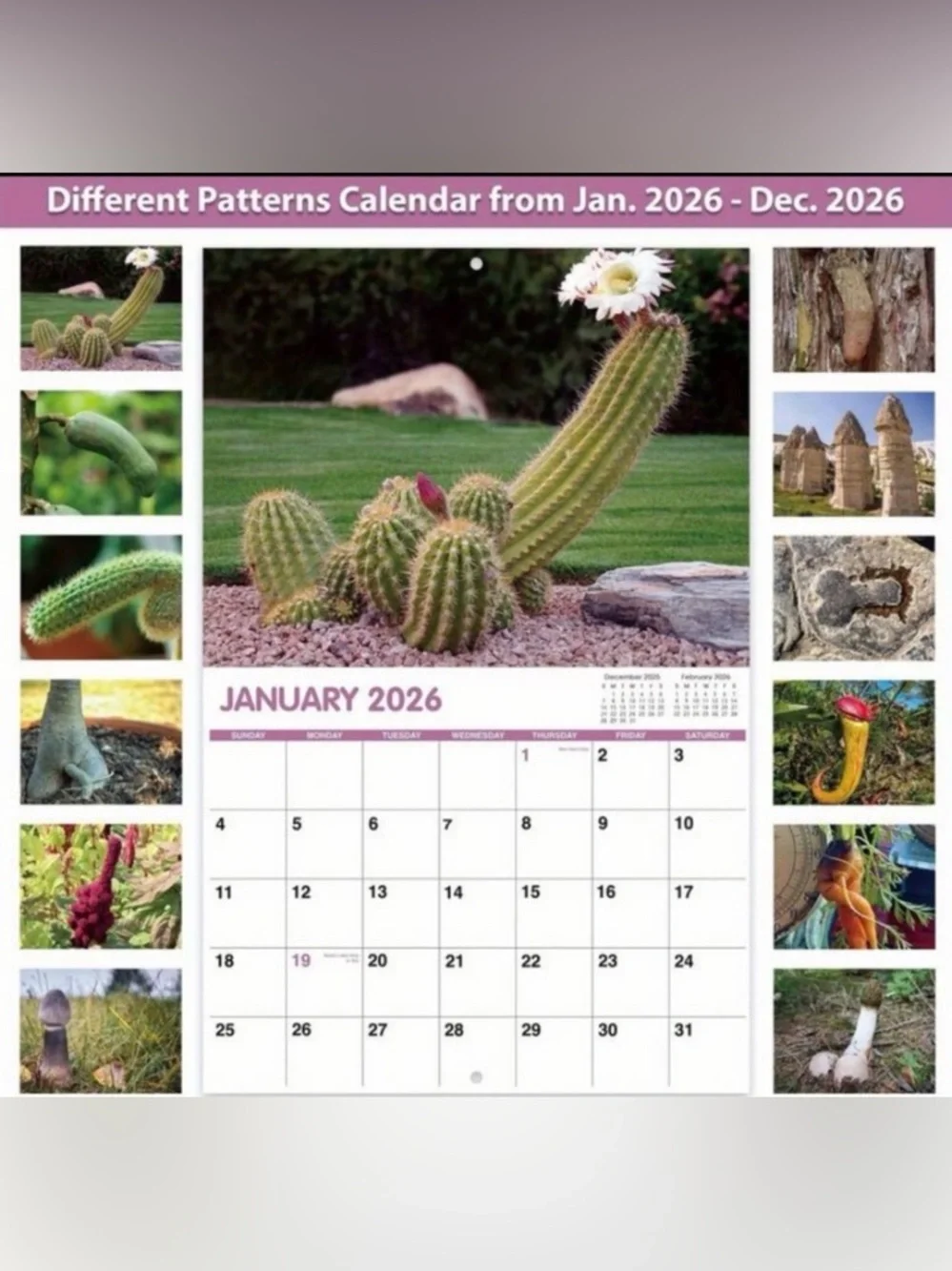 Nature's‎ D**k Pics 2026 Calendar
